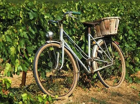 La Maison Grenadine Pres Du Canal Du Midi
