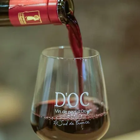 בית הארחה La Maison Grenadine Pres Du Canal Du Midi Tourouzelle