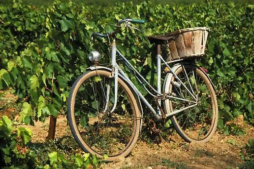 La Maison Grenadine Près Du Canal Du Midi